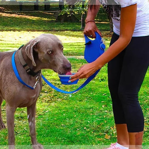 Correa Retráctil para Perros 3 en 1 con Botella de Agua y Cuenco 300 ml