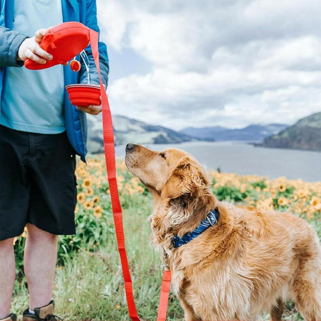 Correa Retráctil para Perros 3 en 1 con Botella de Agua y Cuenco 300 ml